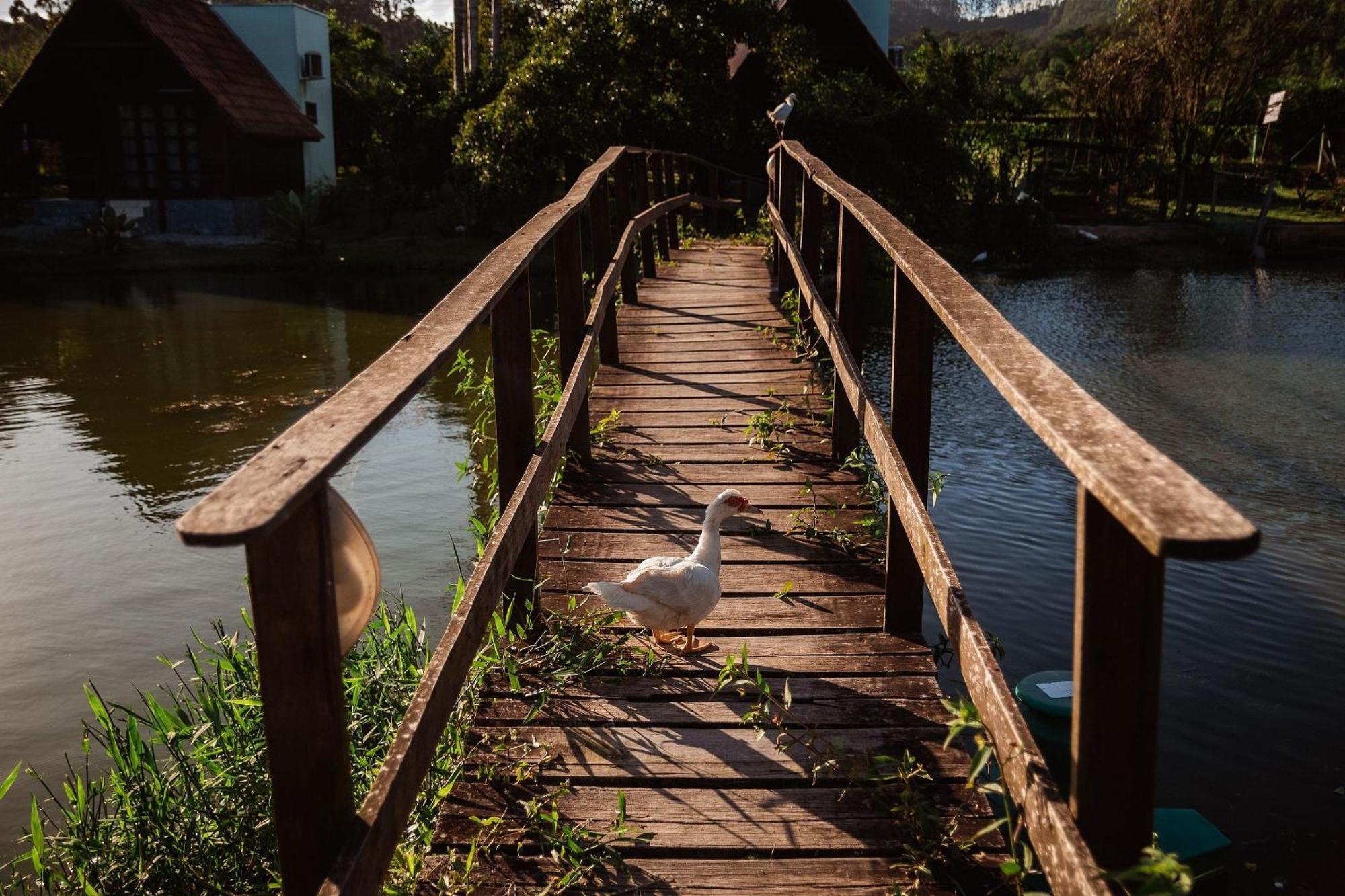 Pousada Sestrem - Sao Joao Batista - Sc Экстерьер фото